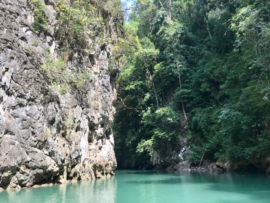 Falaise calcaire couverte de jungle près de Krabi