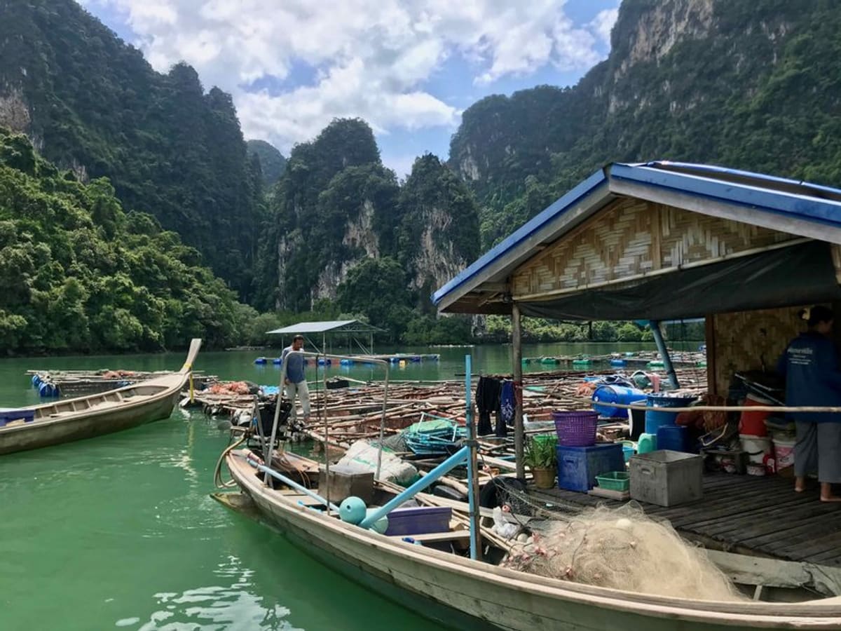 Laem Sak : vie locale dans la baie de Phang Nga, photo 2